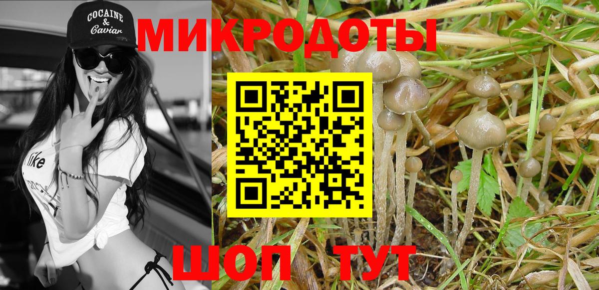 Псилоцибиновые грибы Cubensis  Вход с VPN  где можно купить   Смоленск 